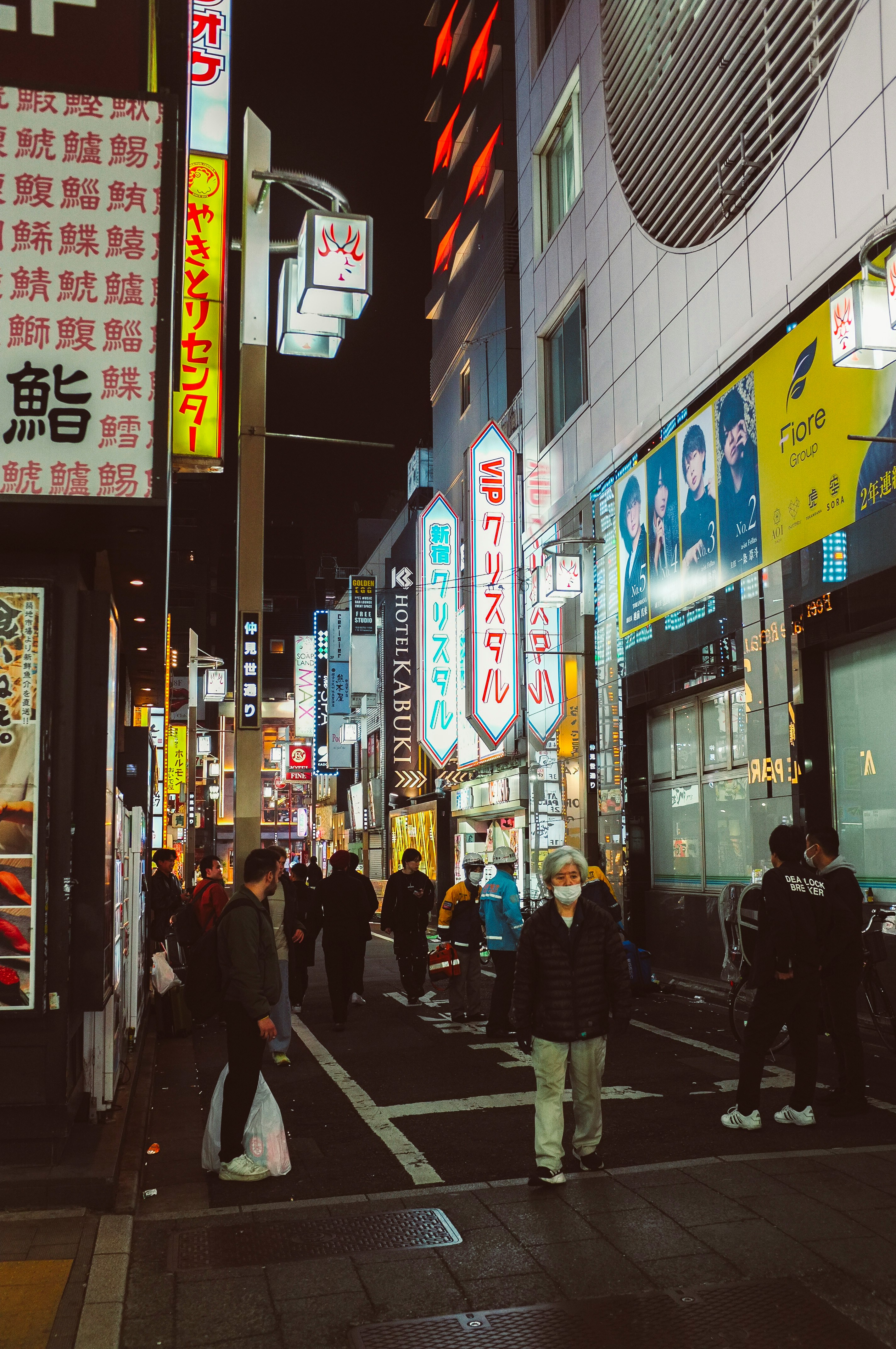 The Ultimate 2-Week Japan Road Trip Itinerary: Tokyo, Kyoto, Mount Fuji & Beyond